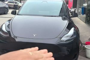 Model Y 特斯拉 Performance高性能全輪驅(qū)動版