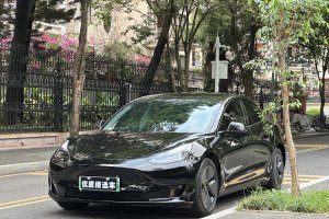 Model 3 特斯拉 改款 后轮驱动版