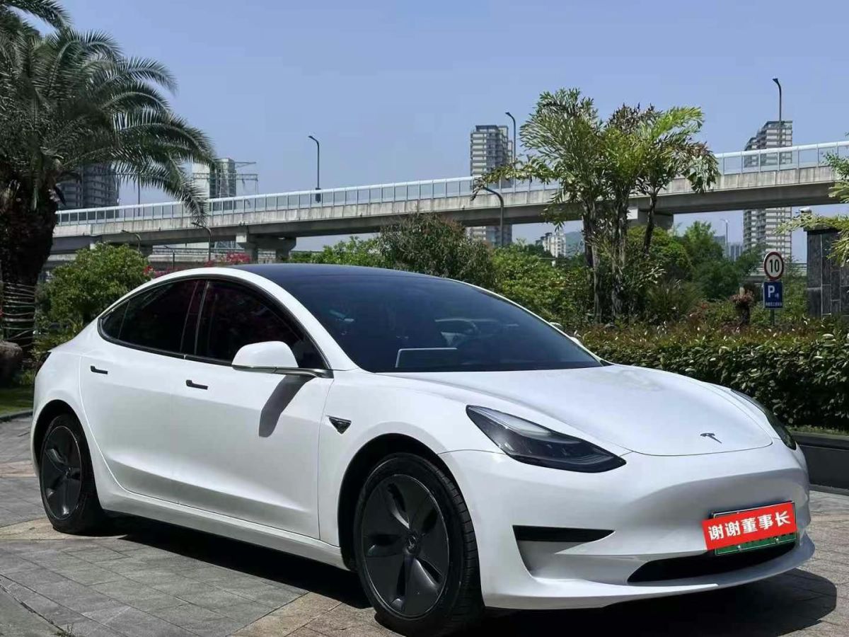 特斯拉 Model X  2020款 Performance 高性能版圖片