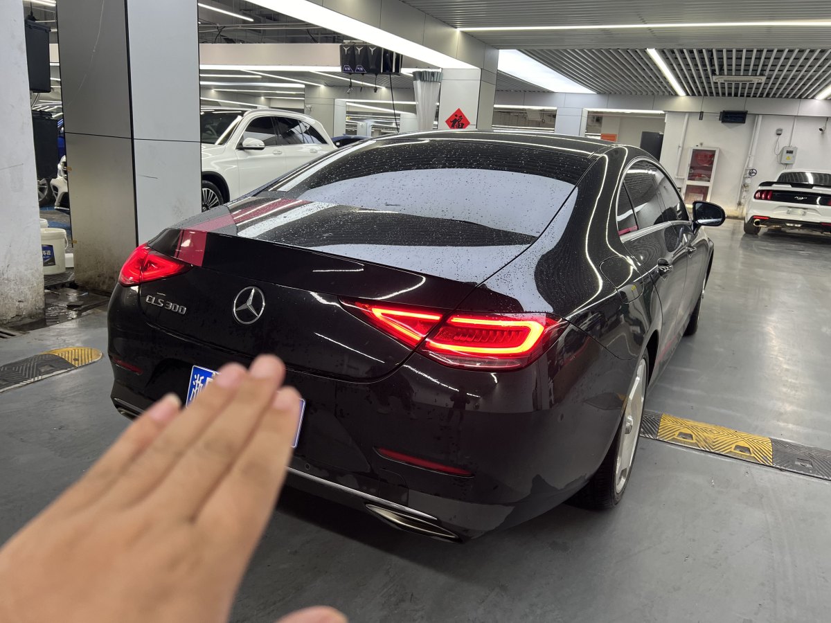 奔驰 奔驰CLS级  2023款 改款 CLS 300 动感型图片