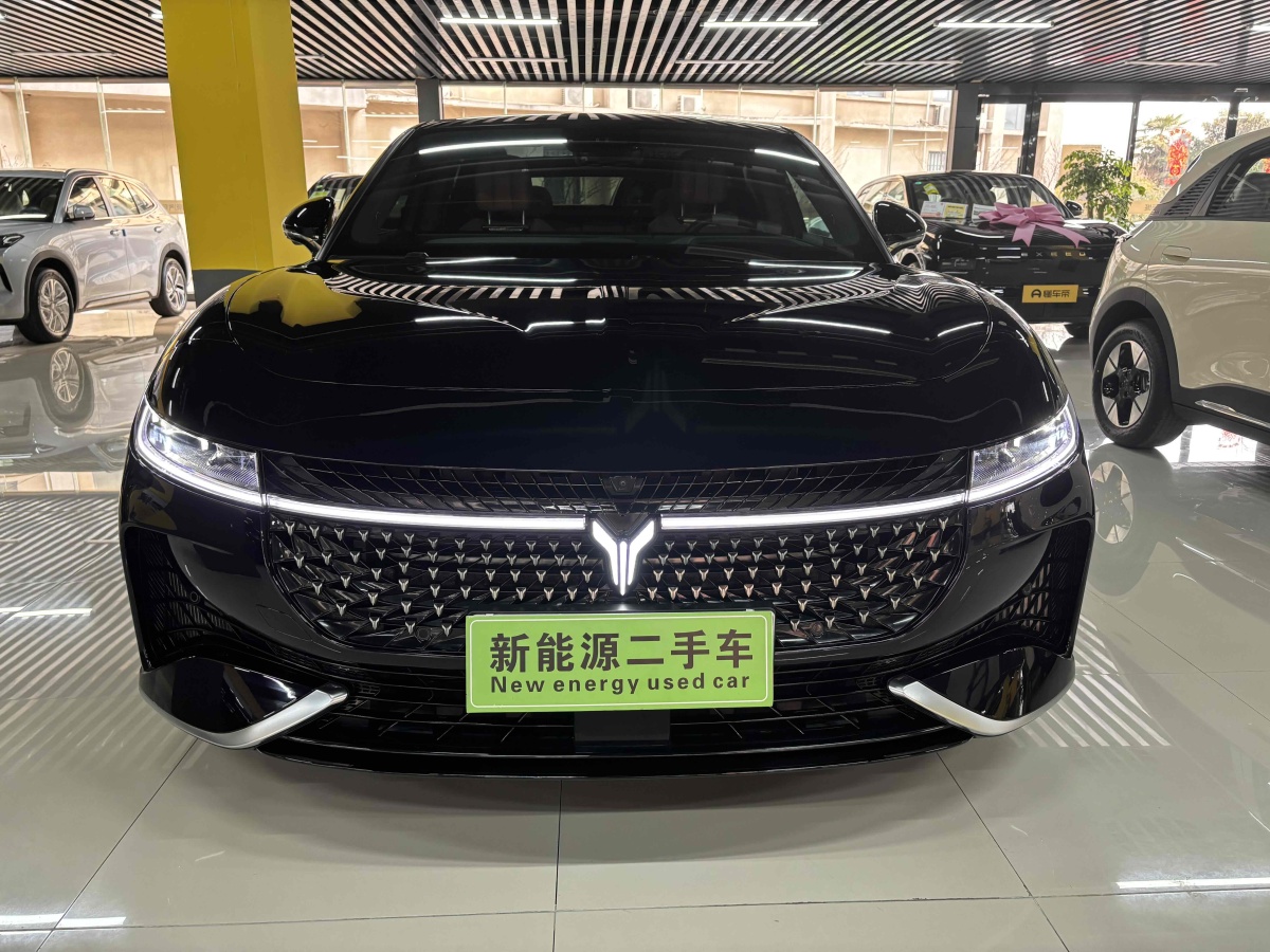 嵐圖 嵐圖追光  2024款 PHEV 四驅(qū)超長續(xù)航行政版圖片