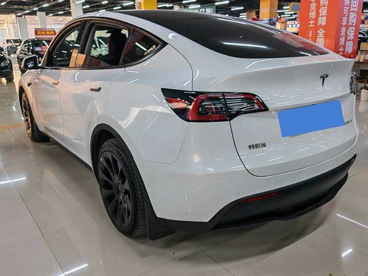 特斯拉 Model 3  2020款 改款 長續(xù)航后輪驅動版圖片