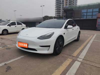 2022年3月 特斯拉 Model 3 標(biāo)準(zhǔn)續(xù)航后驅(qū)升級版 3D6圖片