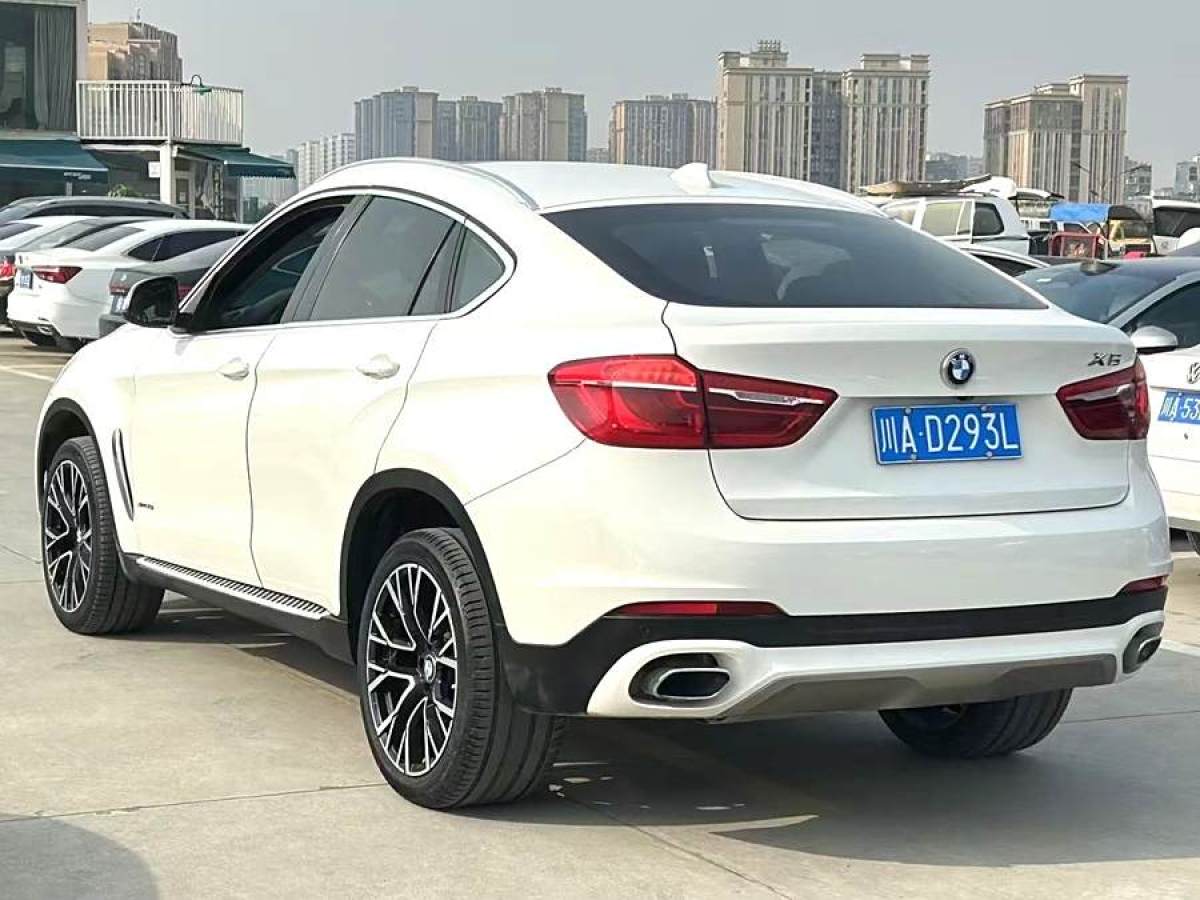 寶馬 寶馬X6  2018款 xDrive35i 領(lǐng)先型圖片