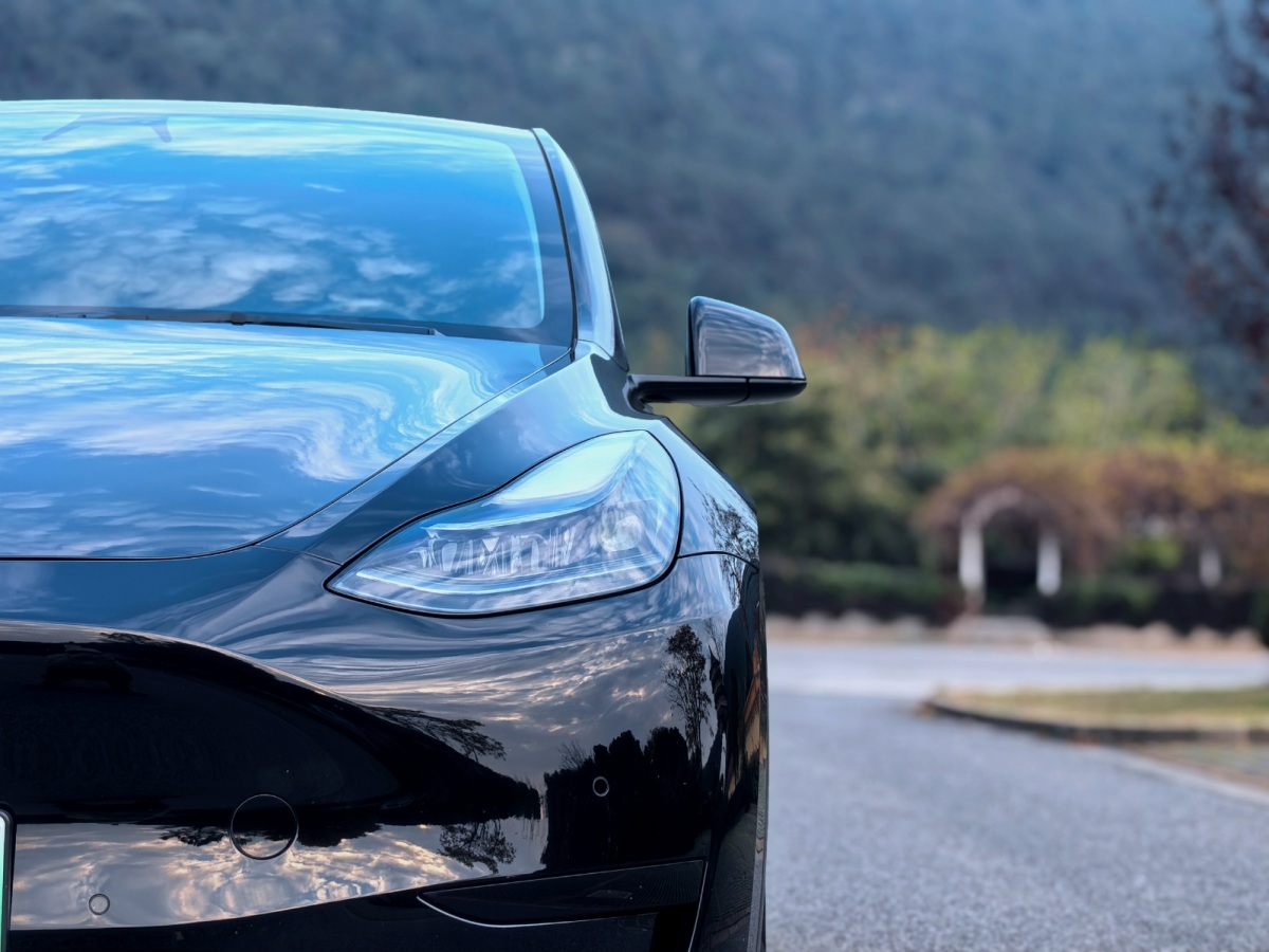  特斯拉 Model Y 2022款 后輪驅(qū)動版圖片