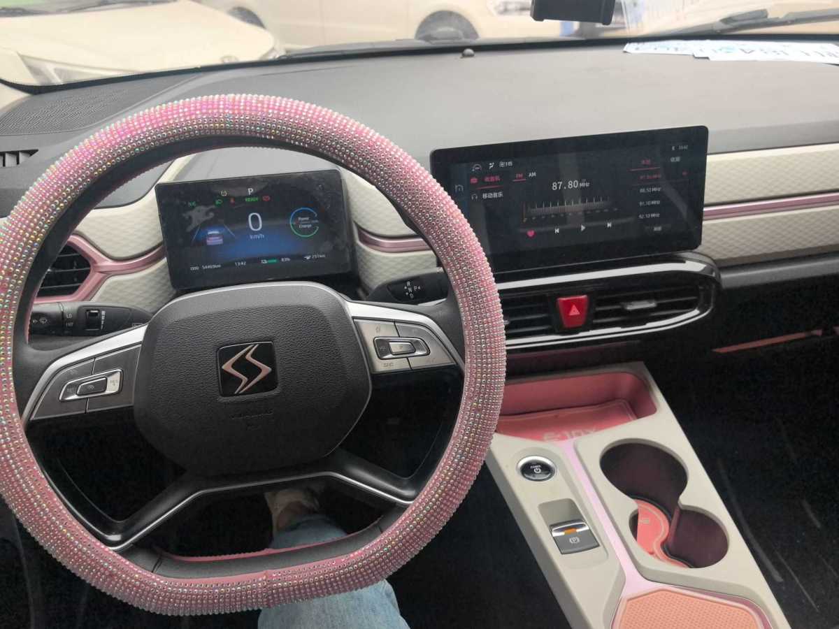 思皓 思皓E10X  2022款 花仙子款 四葉草圖片
