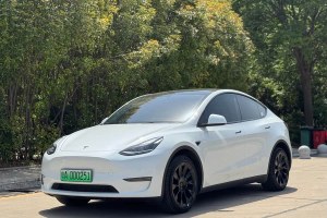 Model Y 特斯拉 改款 長續(xù)航全輪驅(qū)動版
