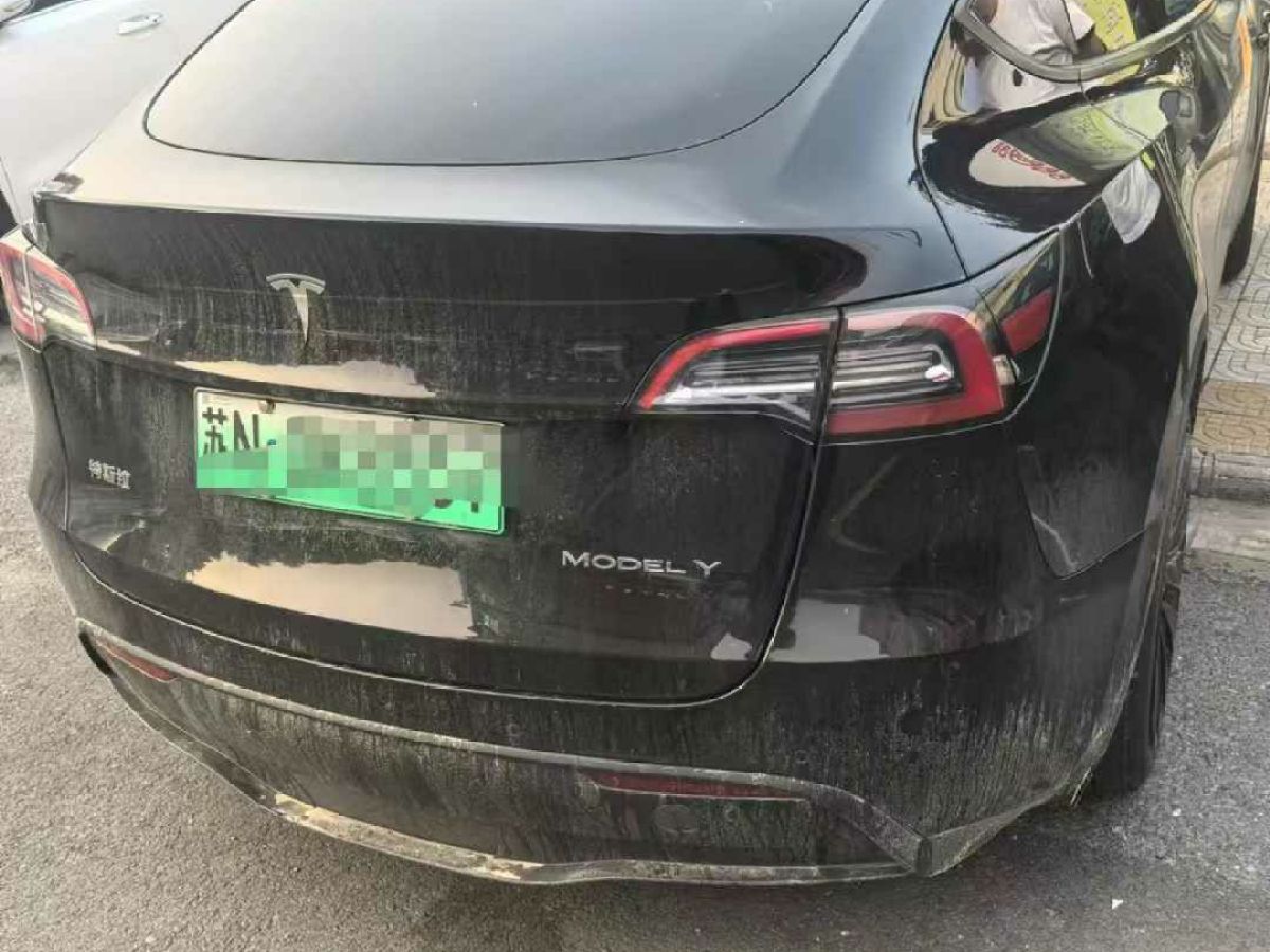 特斯拉 Model S  2023款 三電機(jī)全輪驅(qū)動(dòng) Plaid版圖片