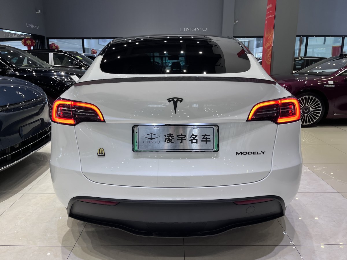 特斯拉 Model Y  2020款 改款 長(zhǎng)續(xù)航后輪驅(qū)動(dòng)版圖片