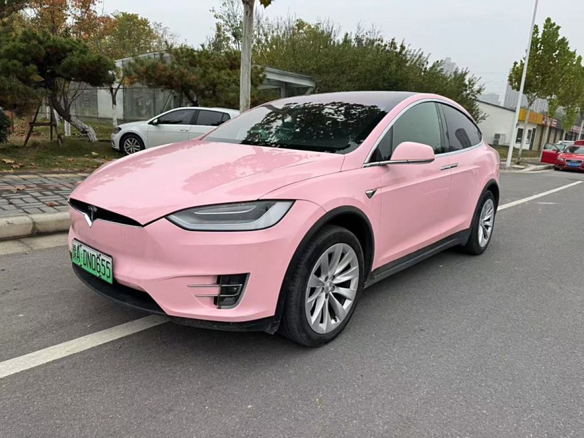 特斯拉 Model X  2019款 標準續(xù)航版圖片