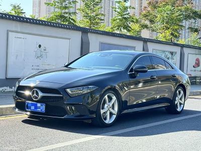 2019年1月 奔驰 奔驰CLS级(进口) CLS 300 动感型图片