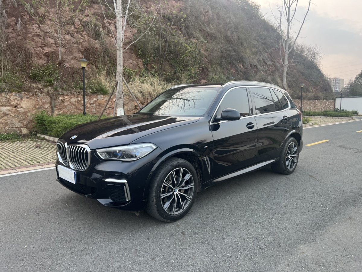 寶馬 寶馬X5  2022款 改款 xDrive 30Li 尊享型M運(yùn)動(dòng)套裝圖片