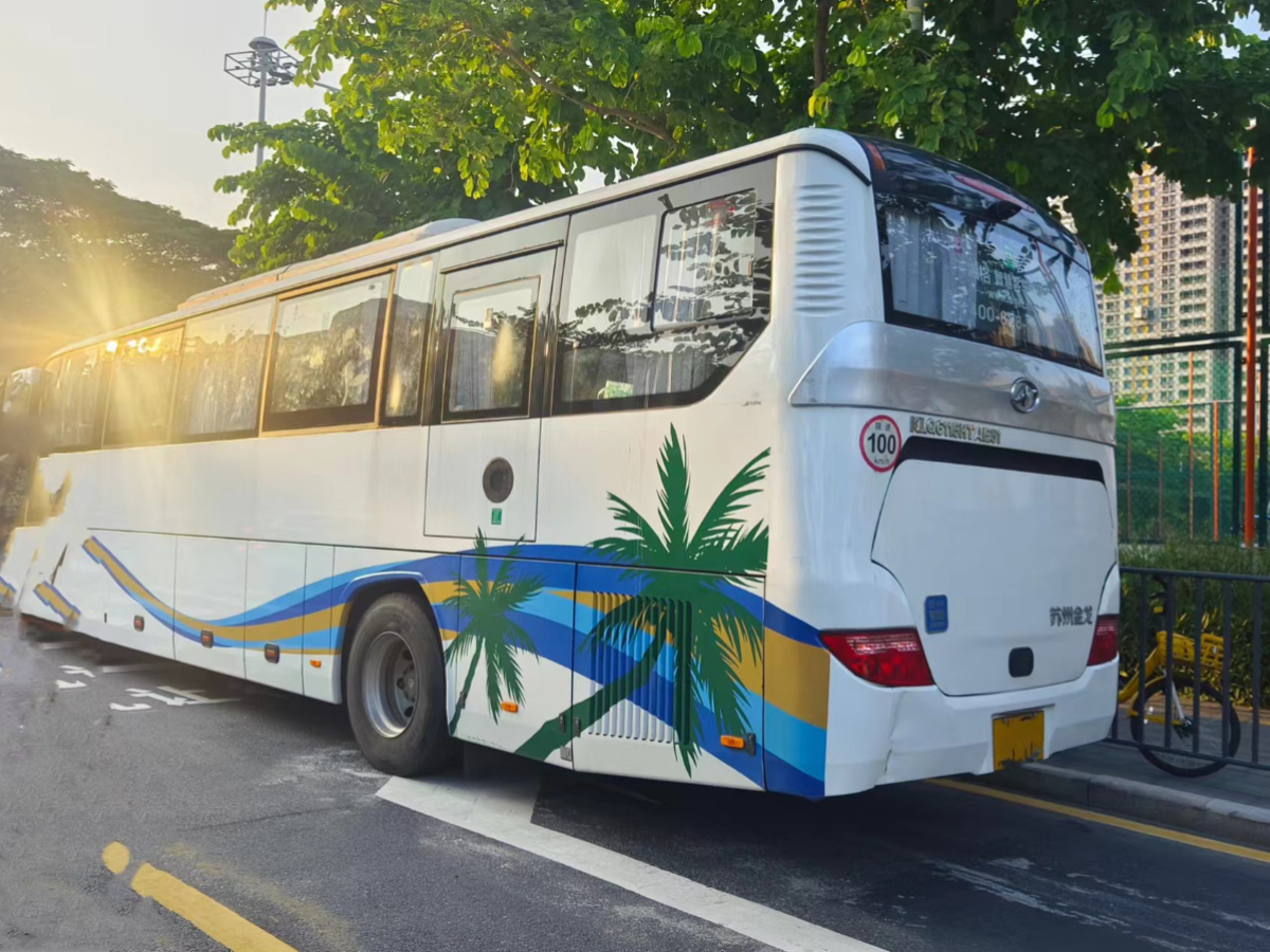 國(guó)五48座海格6115氣囊旅游車(chē)圖片