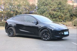 Model Y 特斯拉 后驅(qū)版