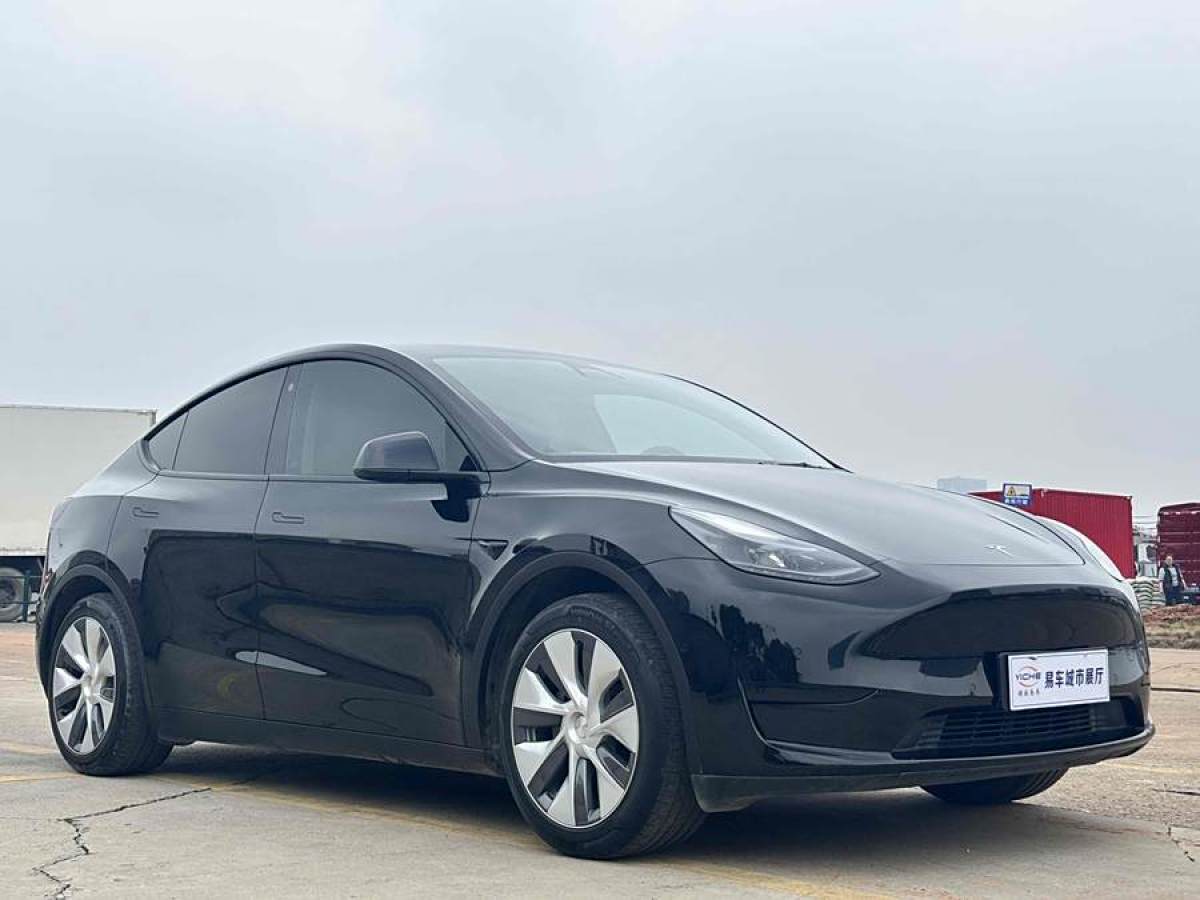 特斯拉 Model 3  2022款 后輪驅(qū)動(dòng)版圖片