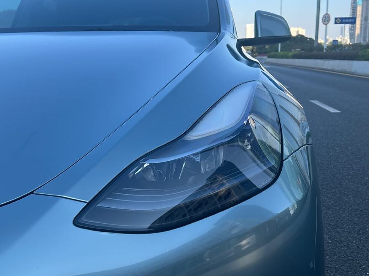 特斯拉 Model Y  2020款 改款 長續(xù)航后輪驅(qū)動(dòng)版圖片