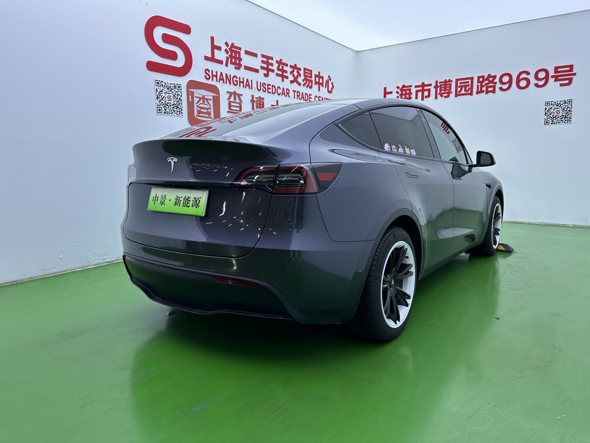 特斯拉 Model Y  2020款 改款 長續(xù)航后輪驅(qū)動版圖片