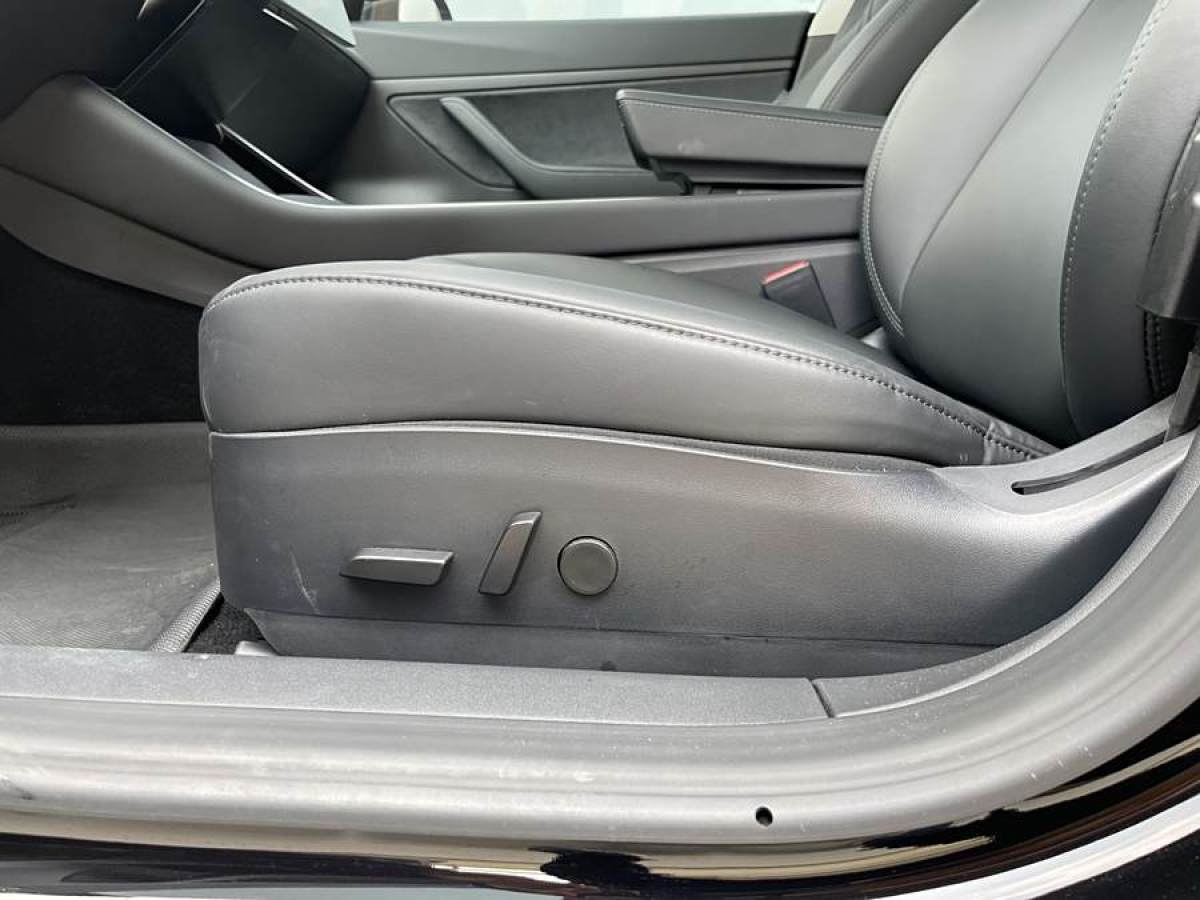 特斯拉 Model 3  2020款 改款 標(biāo)準(zhǔn)續(xù)航后驅(qū)升級(jí)版圖片