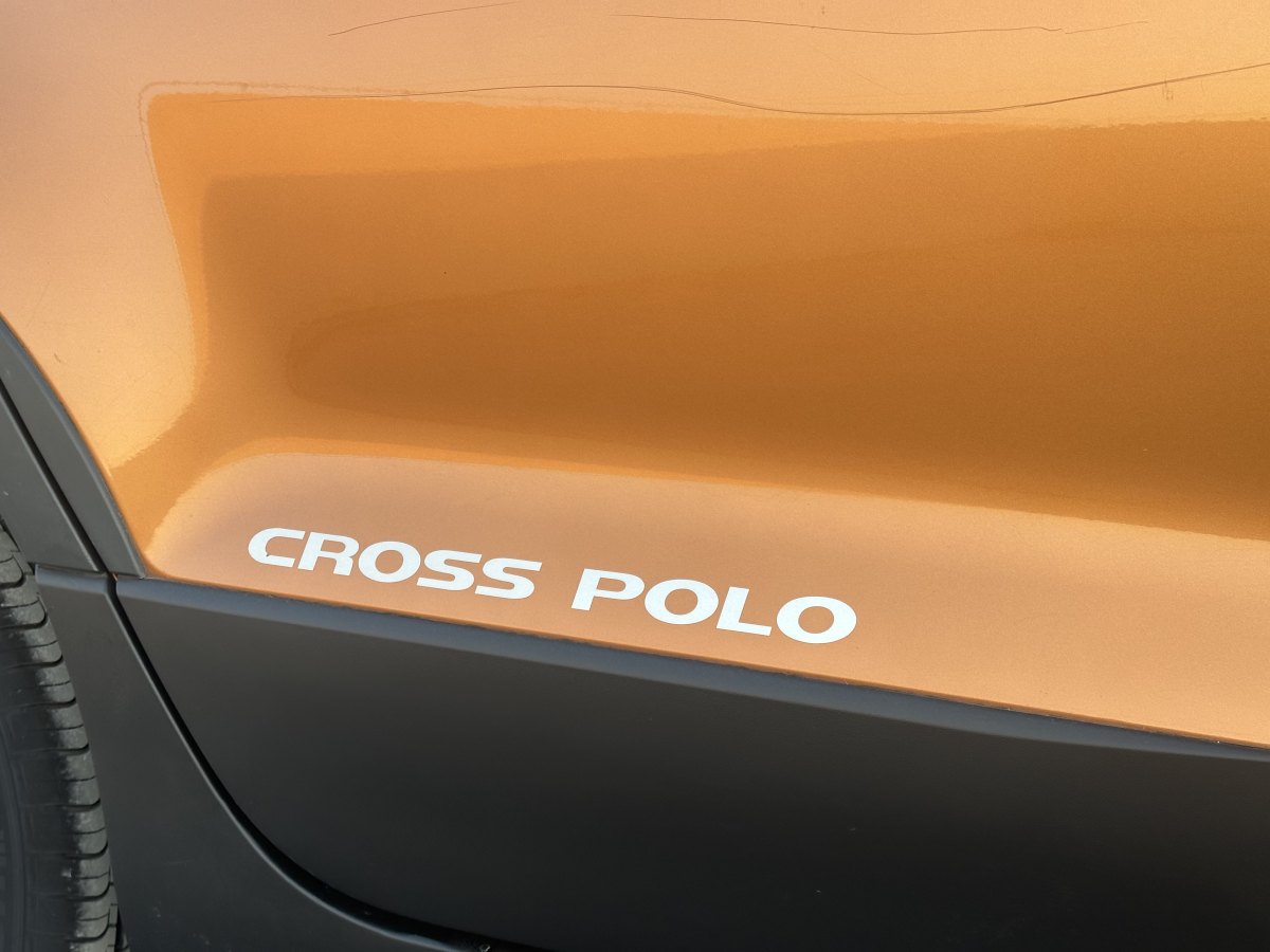 大眾 Polo  2016款 1.6L Cross Polo 自動圖片