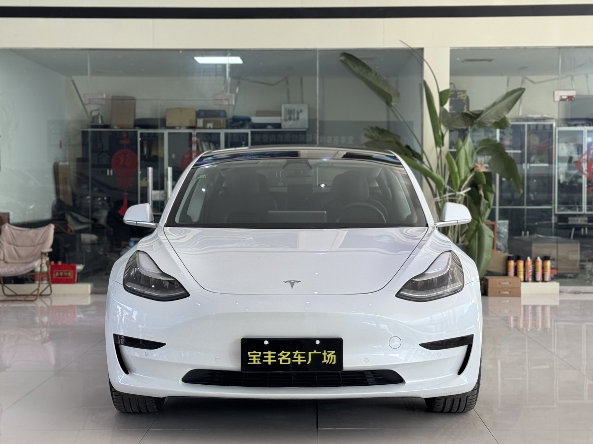 特斯拉 Model 3  2019款 標(biāo)準(zhǔn)續(xù)航后驅(qū)升級版圖片