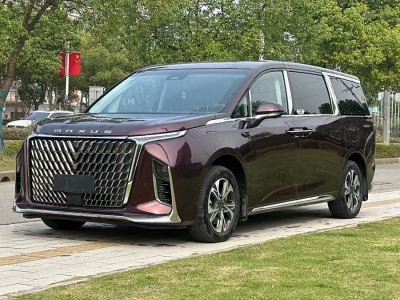 2023年1月 上汽大通 上汽大通MAXUS G90 2.0T 星河七座版图片