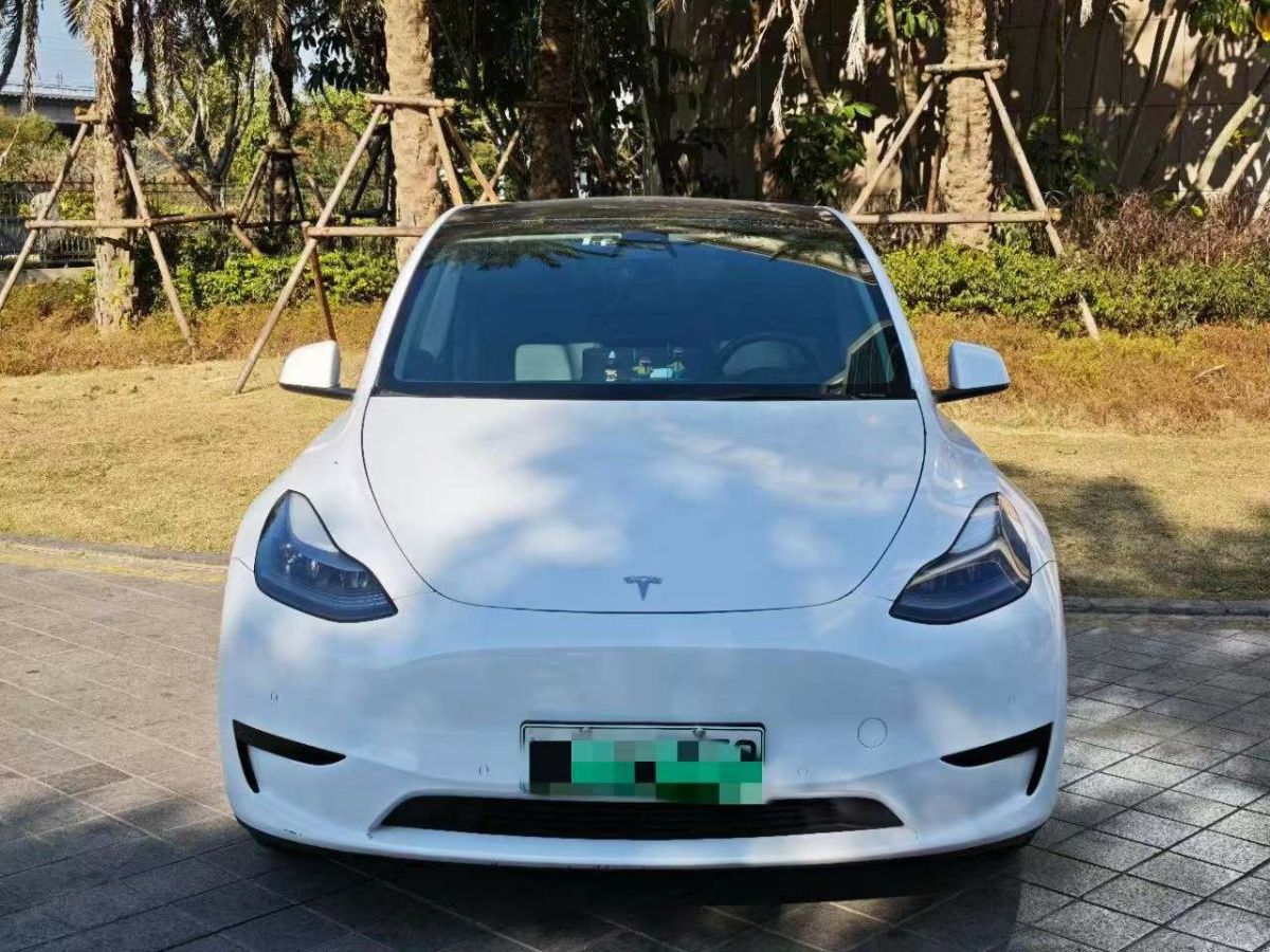 特斯拉 Model 3  2022款 Performance高性能全輪驅(qū)動版圖片