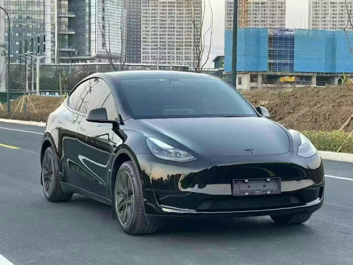 2023年3月特斯拉 Model Y  2023款 后輪驅(qū)動版