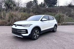 途岳 大眾 300TSI 兩驅(qū)新月版