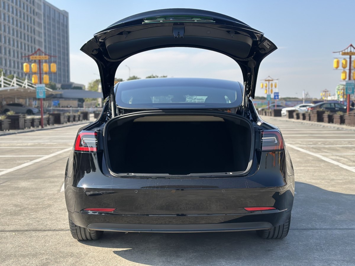 特斯拉 Model 3  2019款 標準續(xù)航后驅升級版圖片