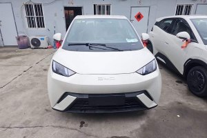 海鷗 比亞迪 305km 活力版