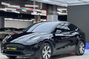 Model Y 特斯拉 改款 长续航后轮驱动版