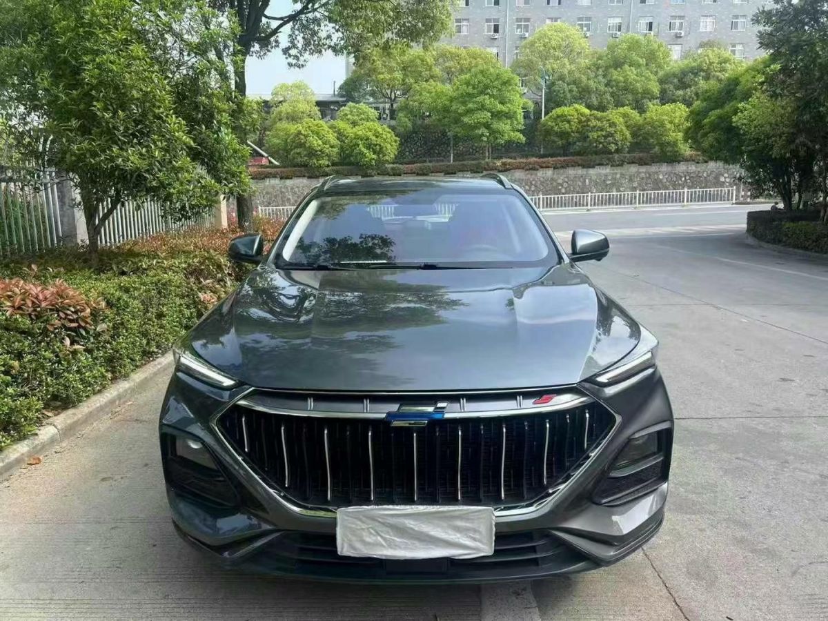金旅 大海獅  2021款 2.4L X5汽油版2TZD圖片
