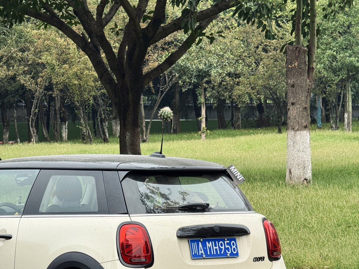 MINI MINI  2022款 改款 1.5T COOPER 藝術(shù)家圖片