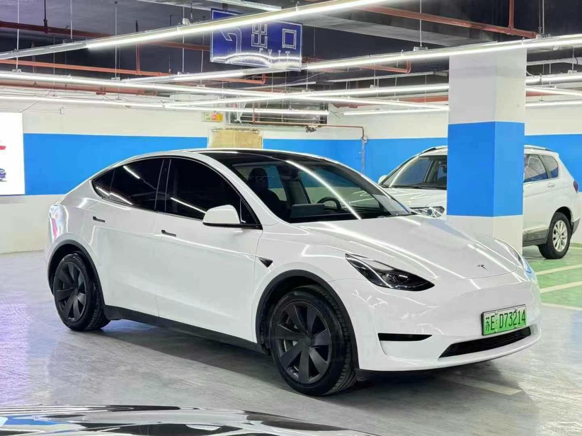 特斯拉 Model Y  2022款 Performance高性能全輪驅(qū)動(dòng)版圖片