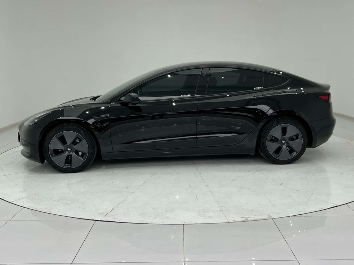 特斯拉 Model 3  2019款 标准续航后驱升级版图片