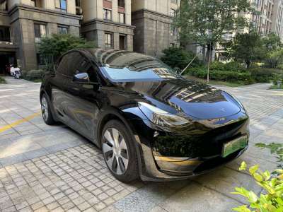 2022年1月 特斯拉 Model Y 标准续航后驱版图片