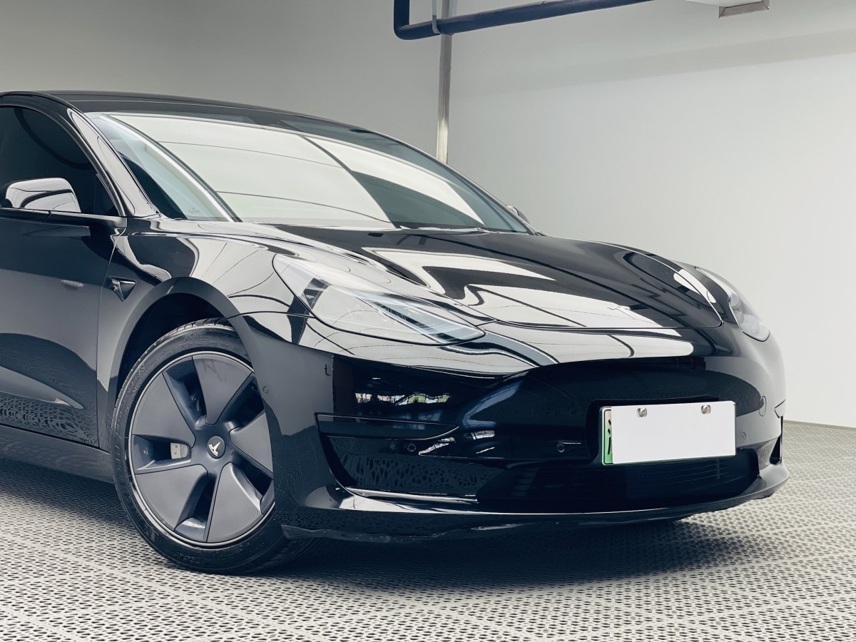 特斯拉 Model 3  2019款 標(biāo)準(zhǔn)續(xù)航后驅(qū)升級版圖片