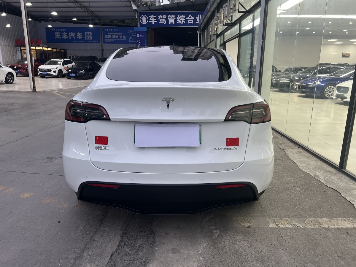 特斯拉 Model 3  2020款 改款 長續(xù)航后輪驅(qū)動版圖片