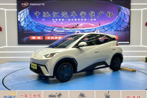 海鷗 比亞迪 305km 活力版