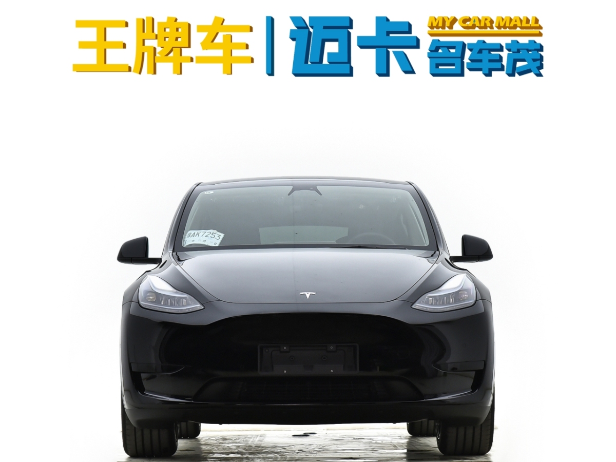 特斯拉 Model 3  2020款 改款 長續(xù)航后輪驅動版圖片