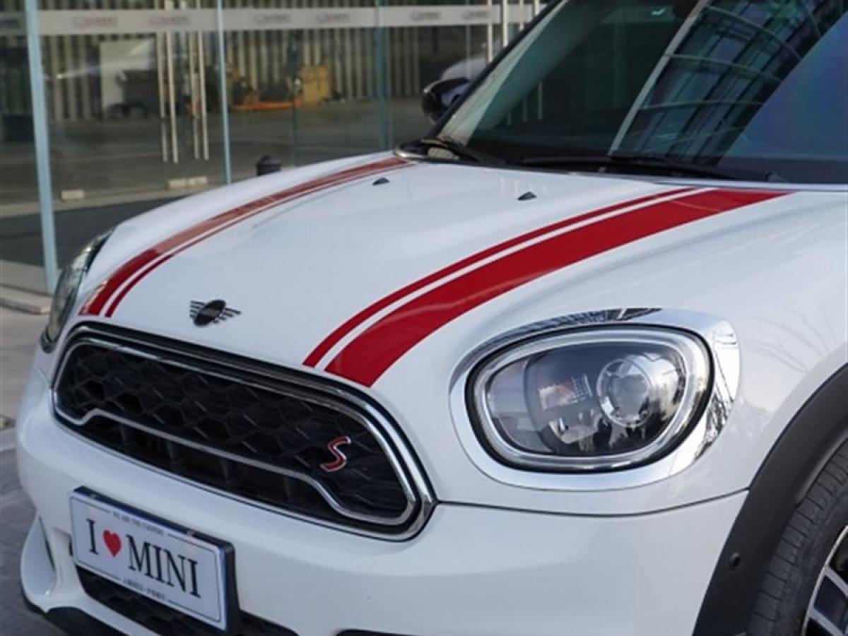 MINI COUNTRYMAN  2019款 2.0T COOPER S ALL4 藝術家圖片