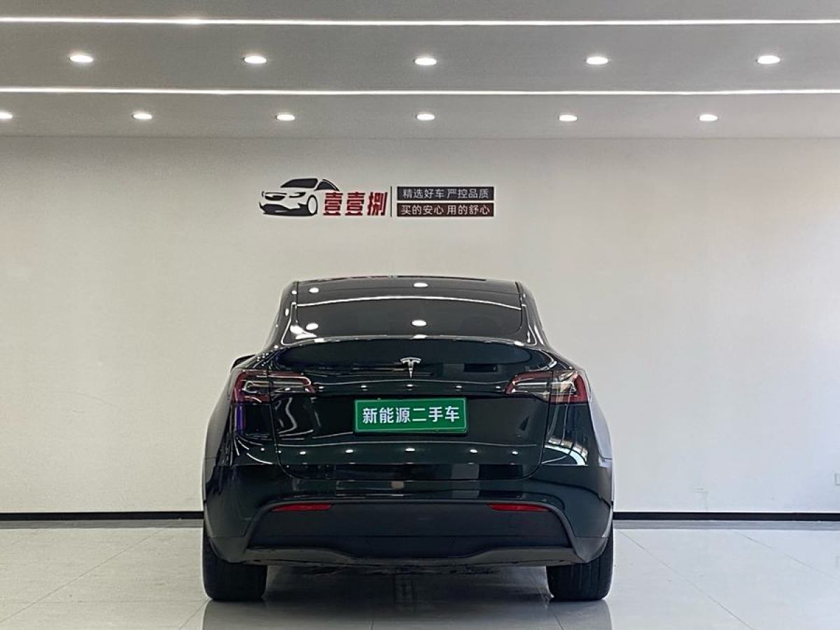 特斯拉 Model 3  2020款 改款 長續(xù)航后輪驅(qū)動(dòng)版圖片