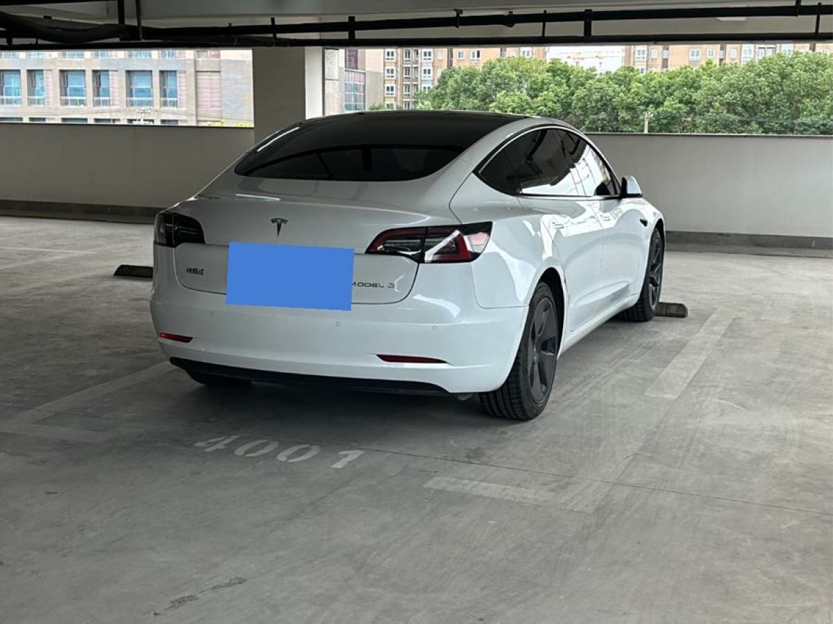 特斯拉 Model 3  2019款 標(biāo)準(zhǔn)續(xù)航后驅(qū)升級(jí)版圖片