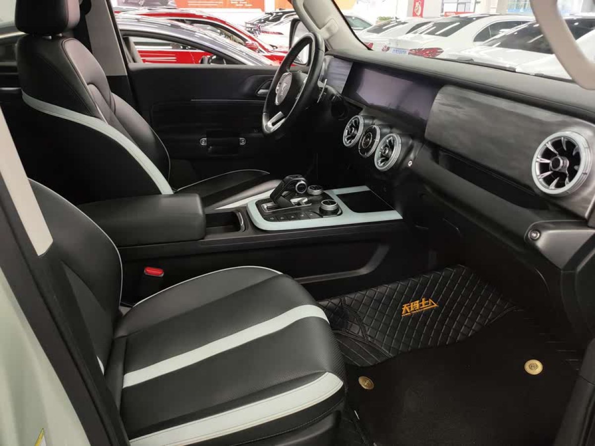 坦克 坦克300  2021款 城市版 2.0T 我看型圖片