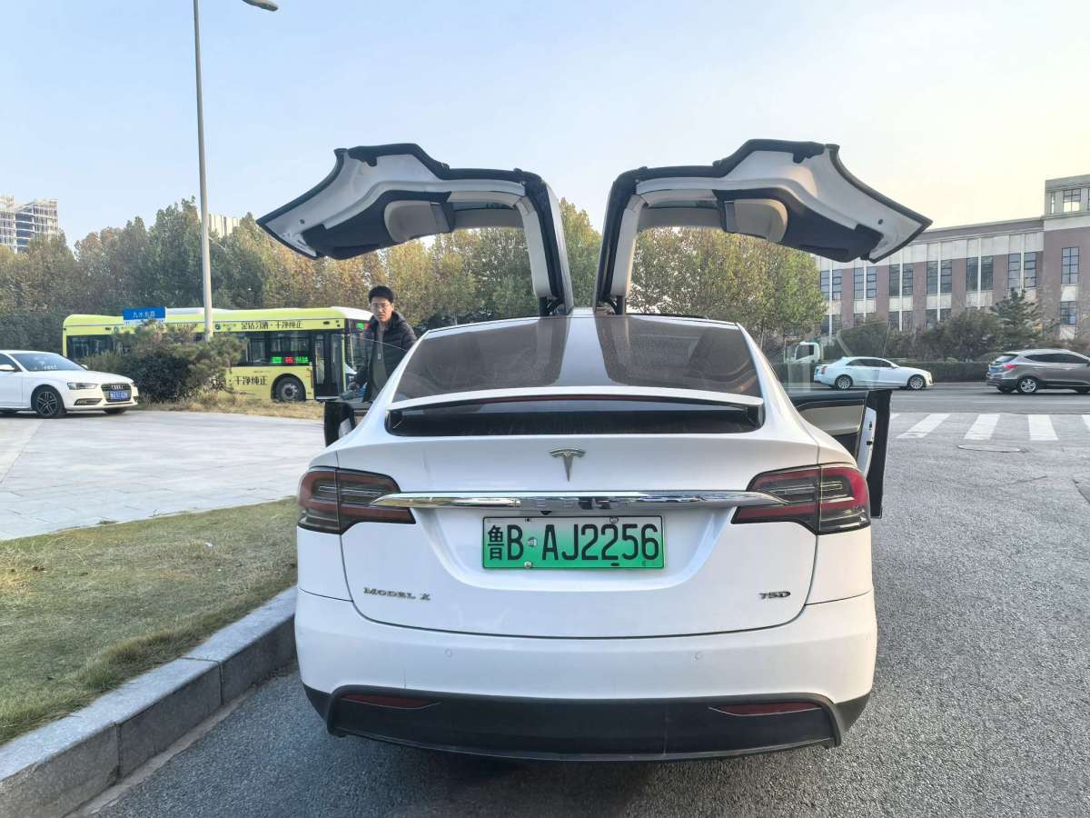 特斯拉 Model X  2016款 Model X 75D圖片