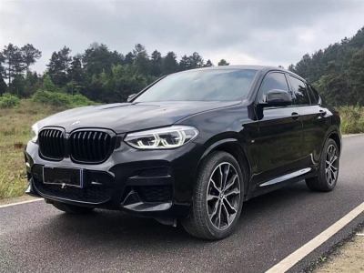 2015年8月 宝马 宝马X4(进口) xDrive20i X设计套装图片