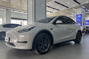 Model Y 特斯拉 焕新版 后轮驱动