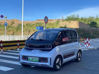 2021年10月 寶駿 寶駿KiWi EV 藝術家 三元鋰圖片