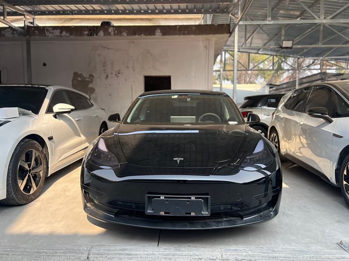 特斯拉 Model 3  2021款 改款 標準續(xù)航后驅(qū)升級版圖片