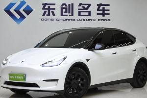 Model Y 特斯拉 改款 长续航全轮驱动版